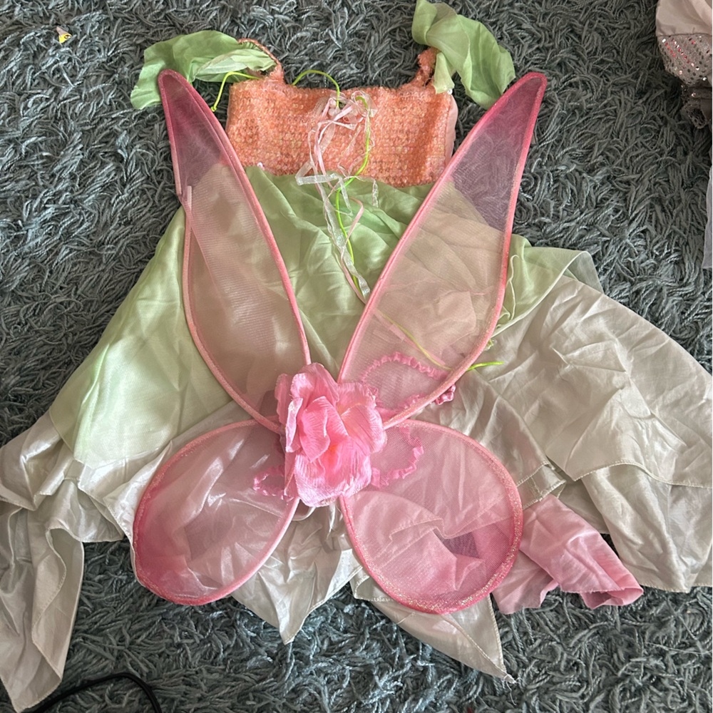 Fairy Costume with Wings